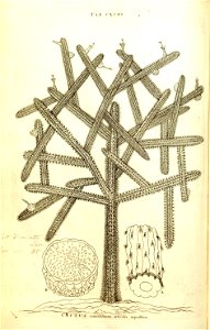 n133_w1150