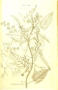 n257_w1150
