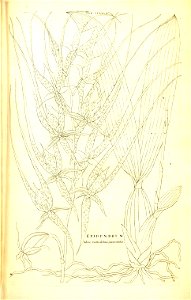 n103_w1150