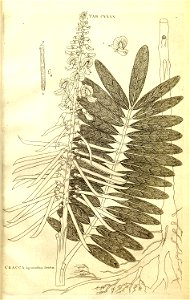 n15_w1150