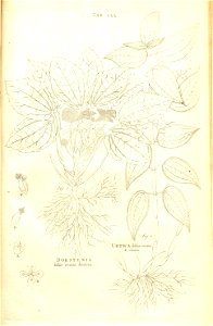 n233_w1150