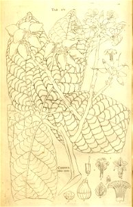 n202_w1150