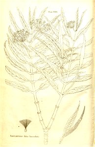 n56_w1150