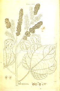 n262_w1150