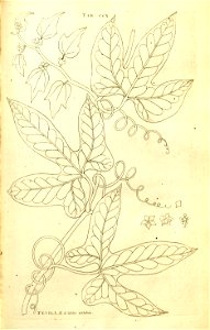 n168_w1150