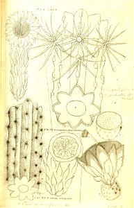 n137_w1150