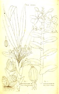 n108_w1150