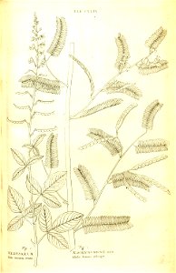 n43_w1150