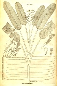 n112_w1150
