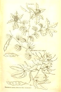 n82_w1150