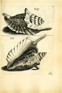 n523_w1150