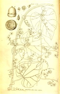 n165_w1150