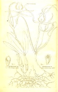 n105_w1150