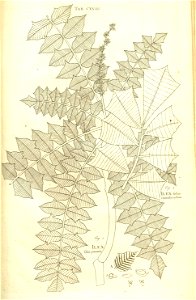 n229_w1150