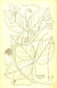 n111_w1150