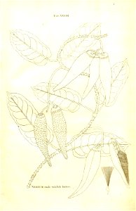 n54_w1150