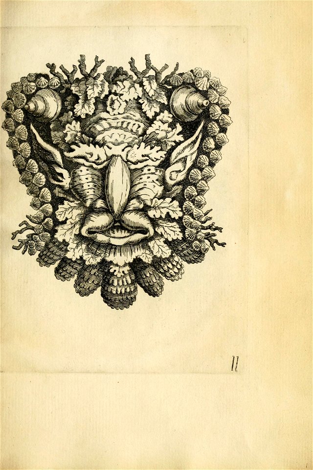 n581_w1150