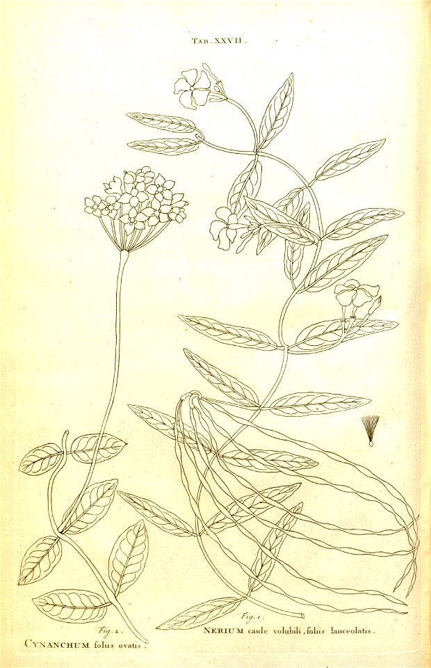 n51_w1150