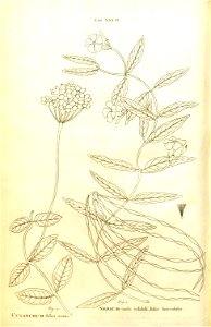 n51_w1150