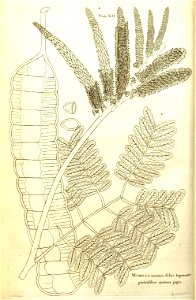 n23_w1150