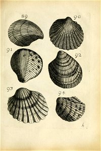 n369_w1150