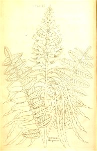 n194_w1150