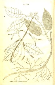 n50_w1150