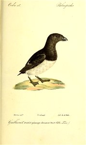 n540_w1150