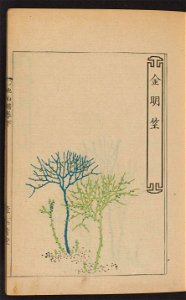 n5_w1150