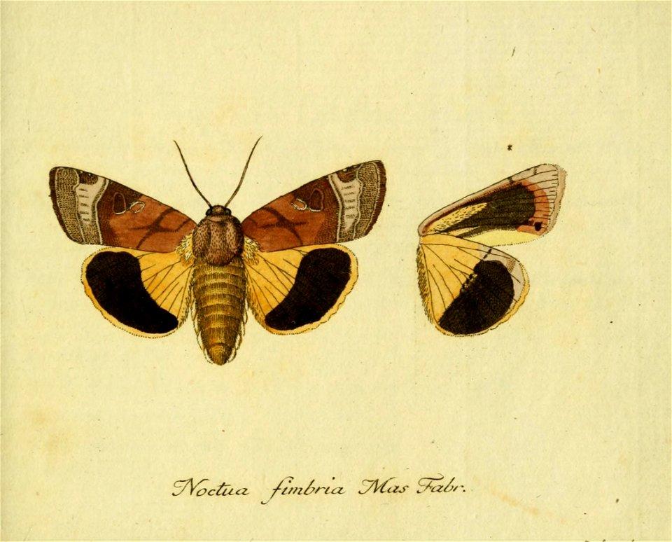 n570_w1150