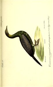 n522_w1150