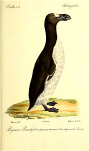 n548_w1150