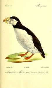 n544_w1150