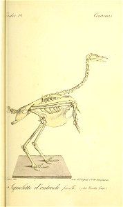 n152_w1150