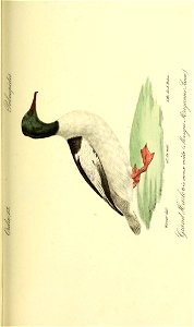 n504_w1150