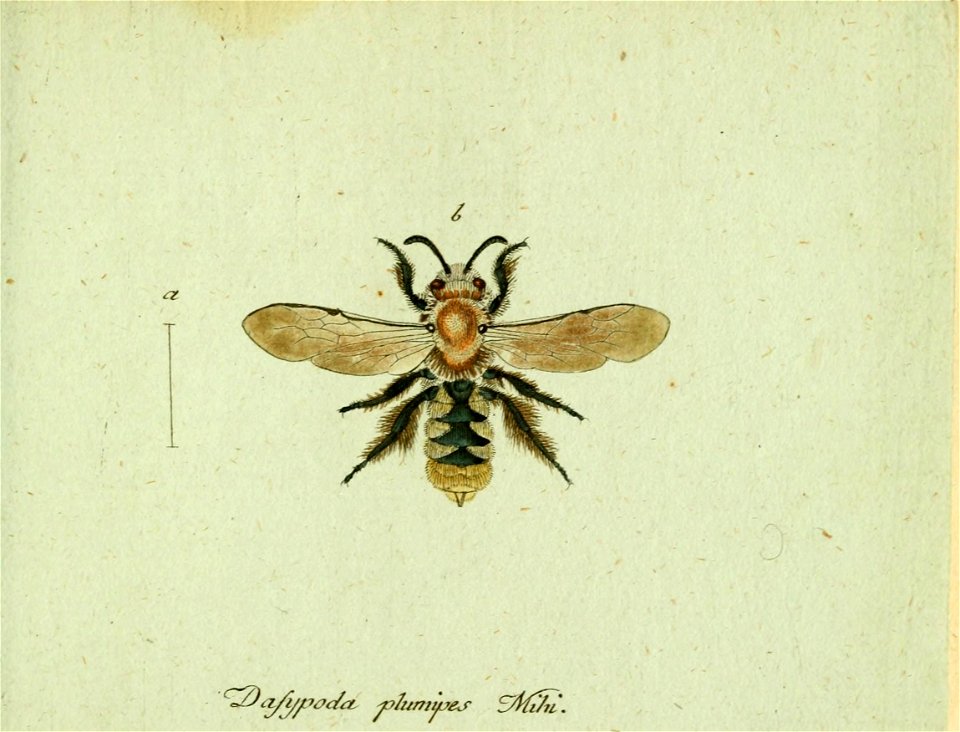 n262_w1150