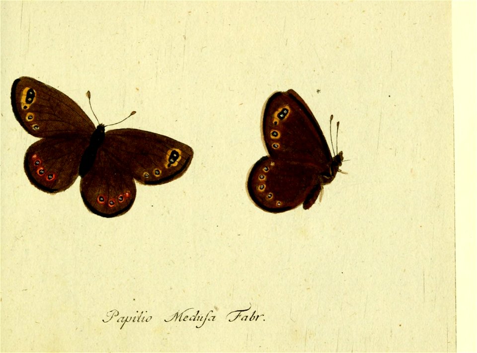 n592_w1150