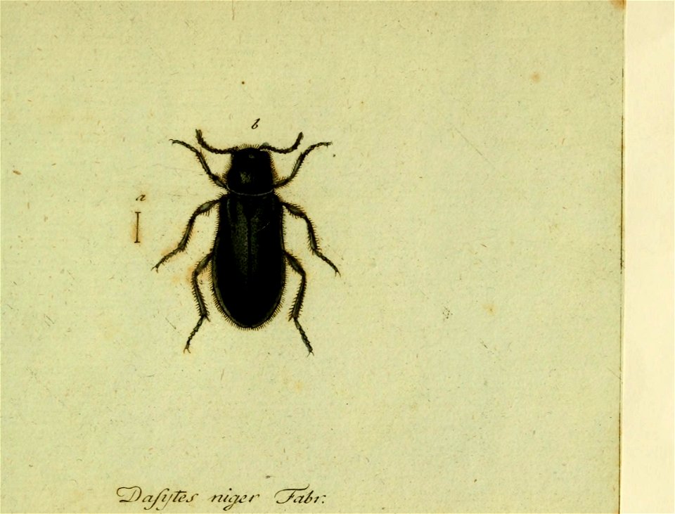 n538_w1150