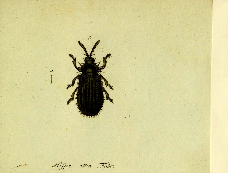 n534_w1150