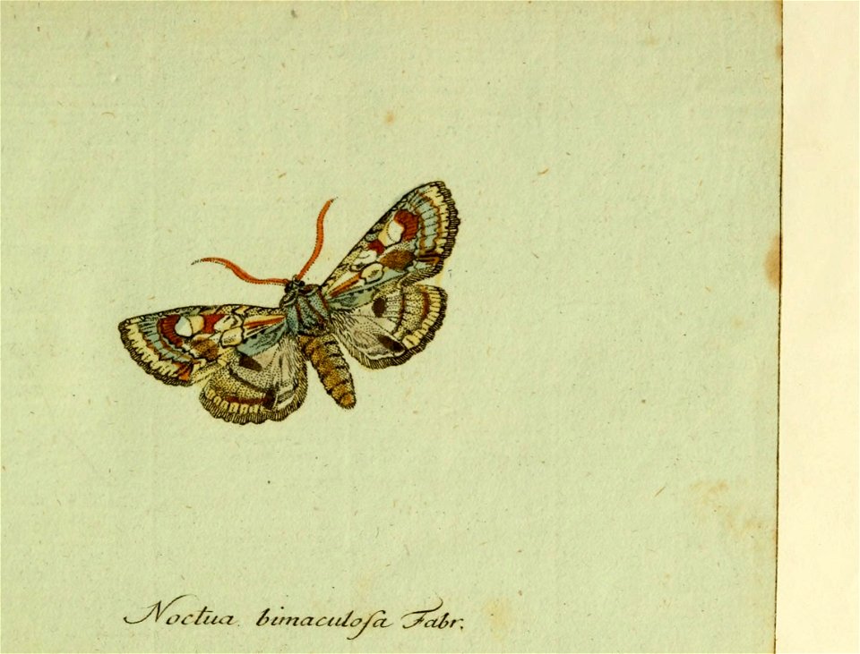 n94_w1150