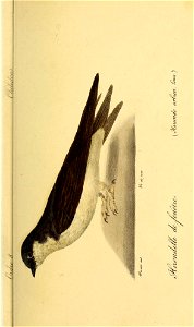 n68_w1150