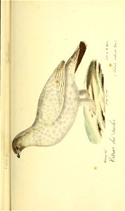 n120_w1150