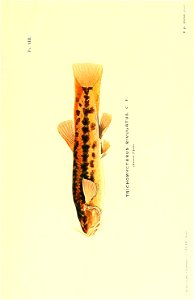n158_w1150