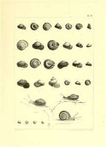 n834_w1150