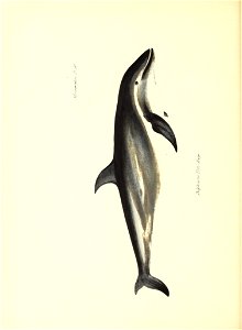 n67_w1150
