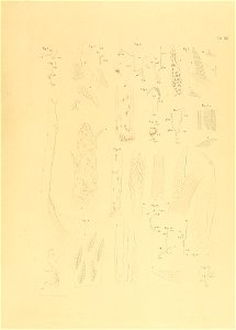 n430_w1150