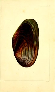 n176_w1150