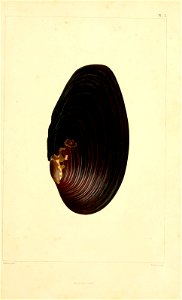 n172_w1150
