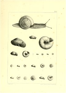 n818_w1150