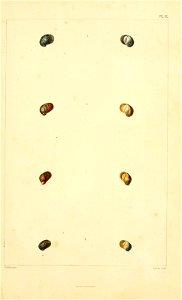 n168_w1150